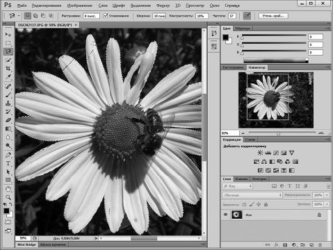 Александр Заика - Photoshop для начинающих