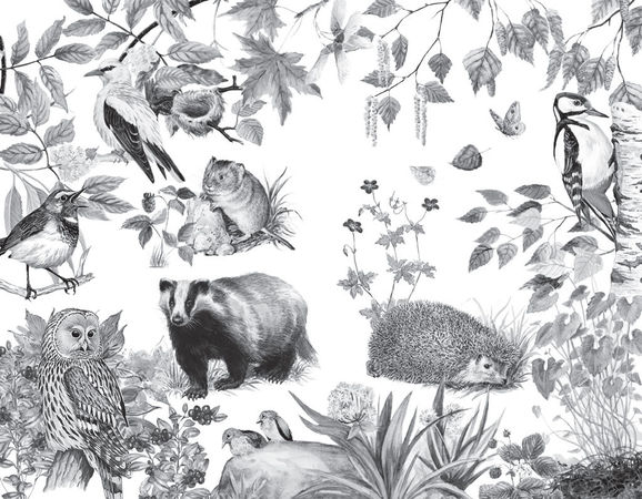 Наталья Сердцева - 99 секретов астрономии