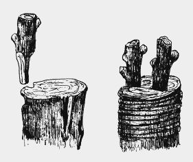 Николай Звонарев - Вишня, черешня. Сорта, выращивание, уход, заготовки