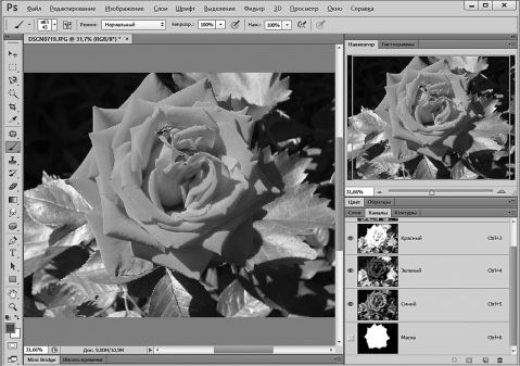 Александр Заика - Photoshop для начинающих