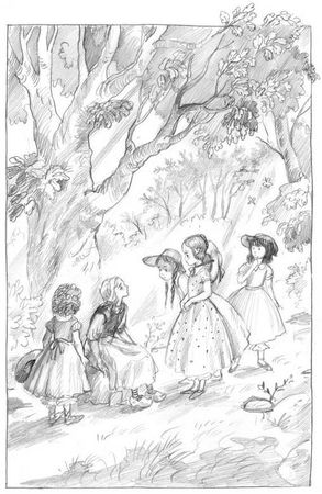 София Сегюр - Примерные девочки