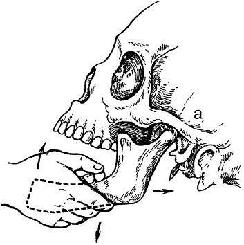 В. Лебедев, Геннадий Семенов - Топографическая анатомия и оперативная хирургия...