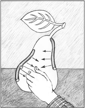 Галина Лебедева, Ольга Тихомирова - Пластилиновая картина. Для работы с детьми...