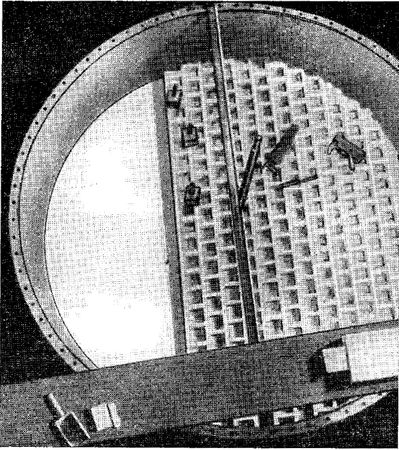 Дэвид Ирвинг - Вирусный флигель