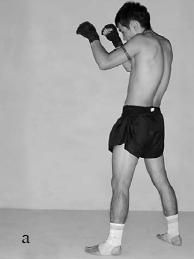 Аман Атилов, Бим Бэкман - 100 лучших приёмов тайландского бокса