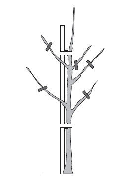 Лариса Петровская - Большая книга дачника