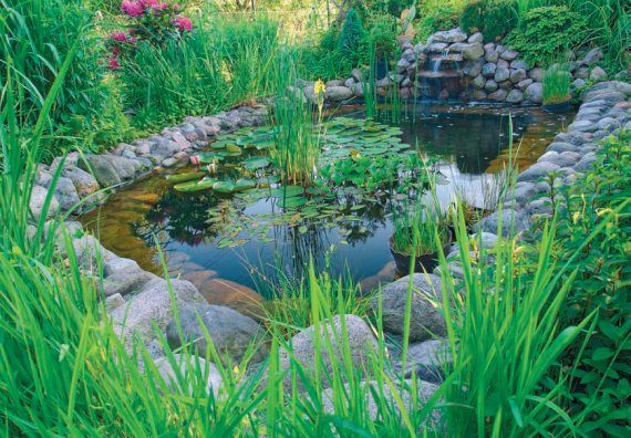 Лариса Петровская - Большая книга дачника