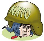 Война и мир Дмитрия Медведева