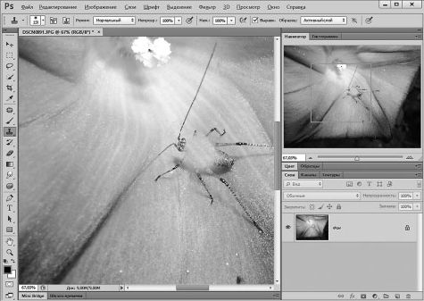 Александр Заика - Photoshop для начинающих