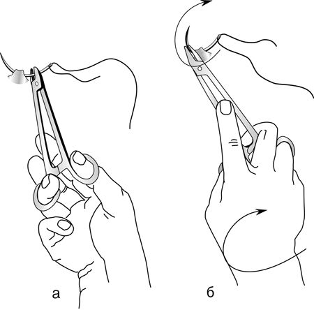 В. Лебедев, Геннадий Семенов - Топографическая анатомия и оперативная хирургия...
