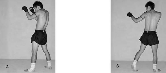 Аман Атилов, Бим Бэкман - 100 лучших приёмов тайландского бокса