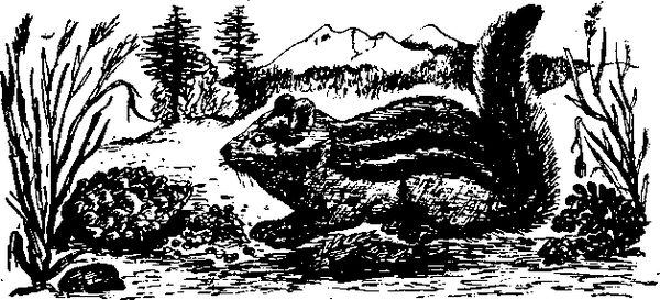 Станислав Олефир - Иду по тайге