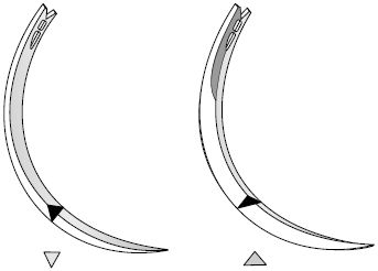 В. Лебедев, Геннадий Семенов - Топографическая анатомия и оперативная хирургия...