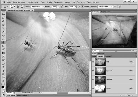 Александр Заика - Photoshop для начинающих