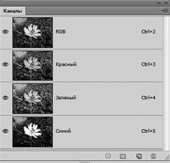 Александр Заика - Photoshop для начинающих