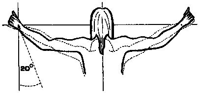 Хольгер Керстен - Иисус жил в Индии