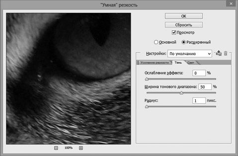 Александр Заика - Photoshop для начинающих