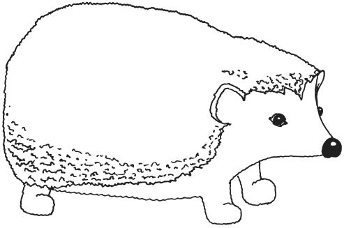 Вера Преображенская - Фелтинг. Удивительные поделки из свалянной шерсти