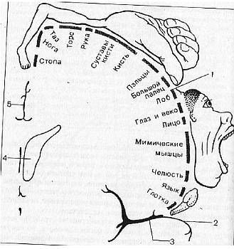 Игорь Воронов - Психотехника восточных единоборств