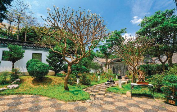 Лариса Петровская - Большая книга дачника