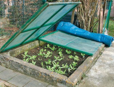 Лариса Петровская - Большая книга дачника