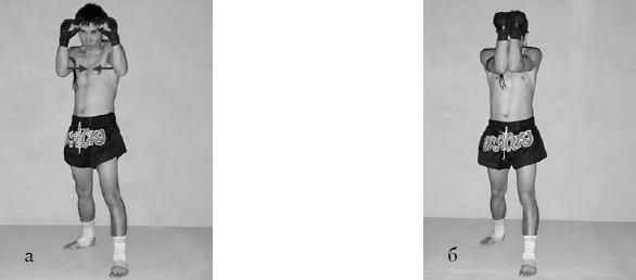 Аман Атилов, Бим Бэкман - 100 лучших приёмов тайландского бокса