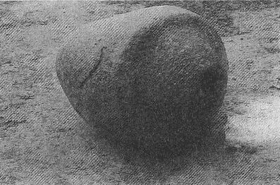 Хольгер Керстен - Иисус жил в Индии