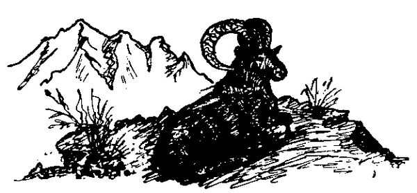 Станислав Олефир - Иду по тайге