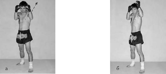 Аман Атилов, Бим Бэкман - 100 лучших приёмов тайландского бокса