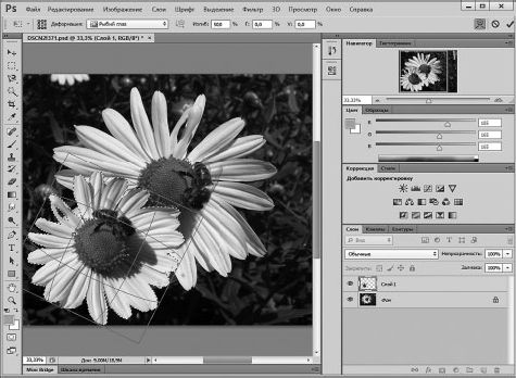 Александр Заика - Photoshop для начинающих