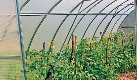 Лариса Петровская - Большая книга дачника