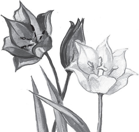 Наталья Сердцева - 99 секретов астрономии