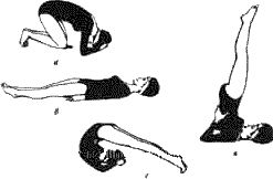 Геннадий Малахов - Очищение организма и здоровье