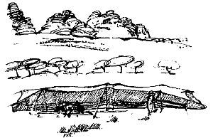 Брюс Ингхэм, Дж. Файад - Арабские страны: обычаи и этикет