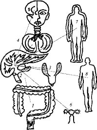 Геннадий Малахов - Очищение организма и здоровье