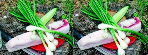 Сергей Бондаренко, Марина Бондаренко - Photoshop. Лучшие фильтры