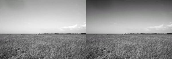 Сергей Бондаренко, Марина Бондаренко - Photoshop. Лучшие фильтры