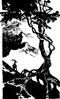 Григорий Федосеев - Злой дух Ямбуя