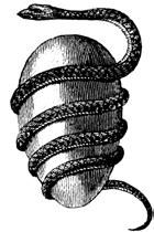 Ирина Лебедева - Секрет счастья для всех един