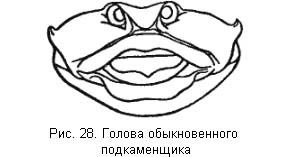 Л. Сабанеев - Жизнь и ловля пресноводных рыб. Часть 1