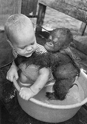 Елена Николаева - Психология детского творчества