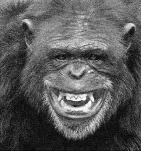 Франс де Вааль - Политика у шимпанзе. Власть и секс у приматов