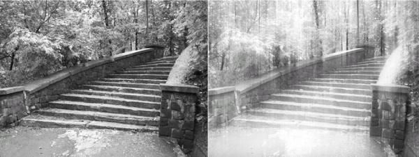 Сергей Бондаренко, Марина Бондаренко - Photoshop. Лучшие фильтры