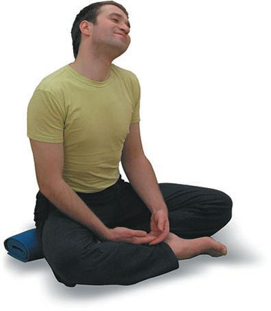 Андрей Липень - Йога. Большая книга лучших асан