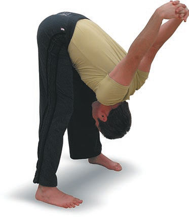 Андрей Липень - Йога. Большая книга лучших асан