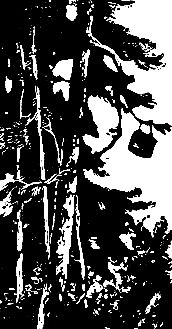 Григорий Федосеев - Злой дух Ямбуя