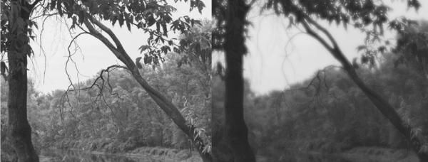 Сергей Бондаренко, Марина Бондаренко - Photoshop. Лучшие фильтры