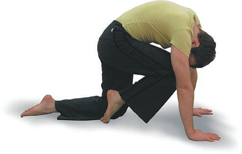 Андрей Липень - Йога. Большая книга лучших асан