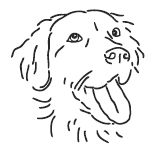 Юлия Меньшикова - Нежный бренд, или Рождество в Париже