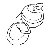 Юлия Меньшикова - Нежный бренд, или Рождество в Париже